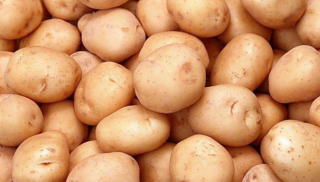 内蒙古马铃薯生产与种植标准化技术委员会获批在乌兰察布市正式设立