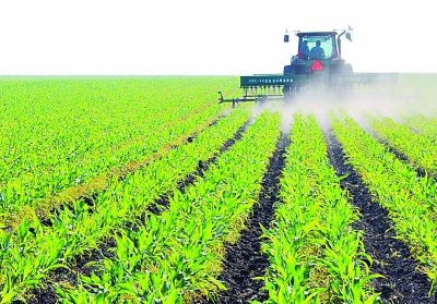 如何化解“今年种什么”焦虑