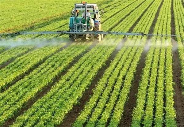 541417770857874086.jpg 541417770857874086.jpg