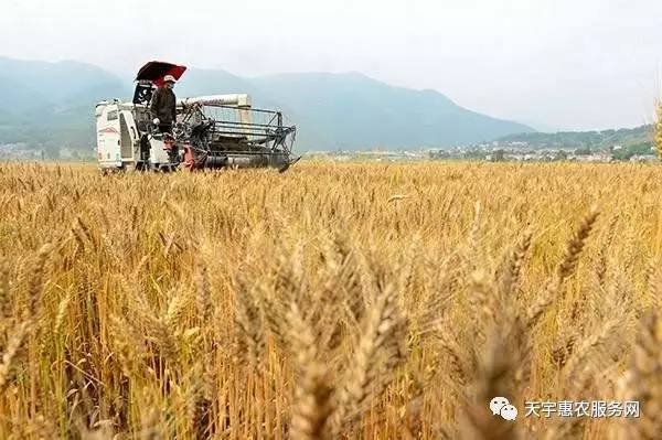 640 (1).jpg 640 (1).jpg