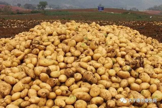 640 (2).jpg 640 (2).jpg