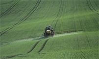 天气回暖，小麦喷洒除草剂，易出问题，原来要注意这几点！