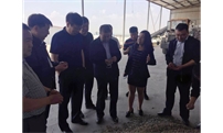 自治区林业厅领导考察调研生物质颗粒加工项目