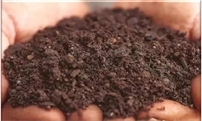 为什么人们偏爱有机肥？有机肥七大作用，你知道多少！