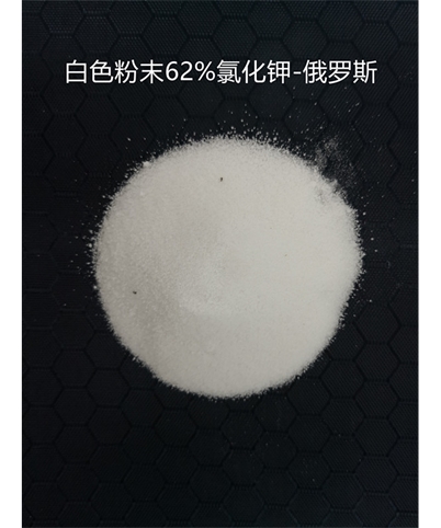 俄罗斯进口62%白面