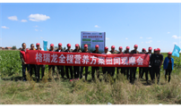 格瑞龙甜菜营养方案田间观摩会在乌兰察布圆满召开