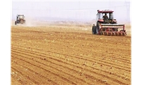 今年内蒙古粮食播种面积将稳定在1亿亩以上